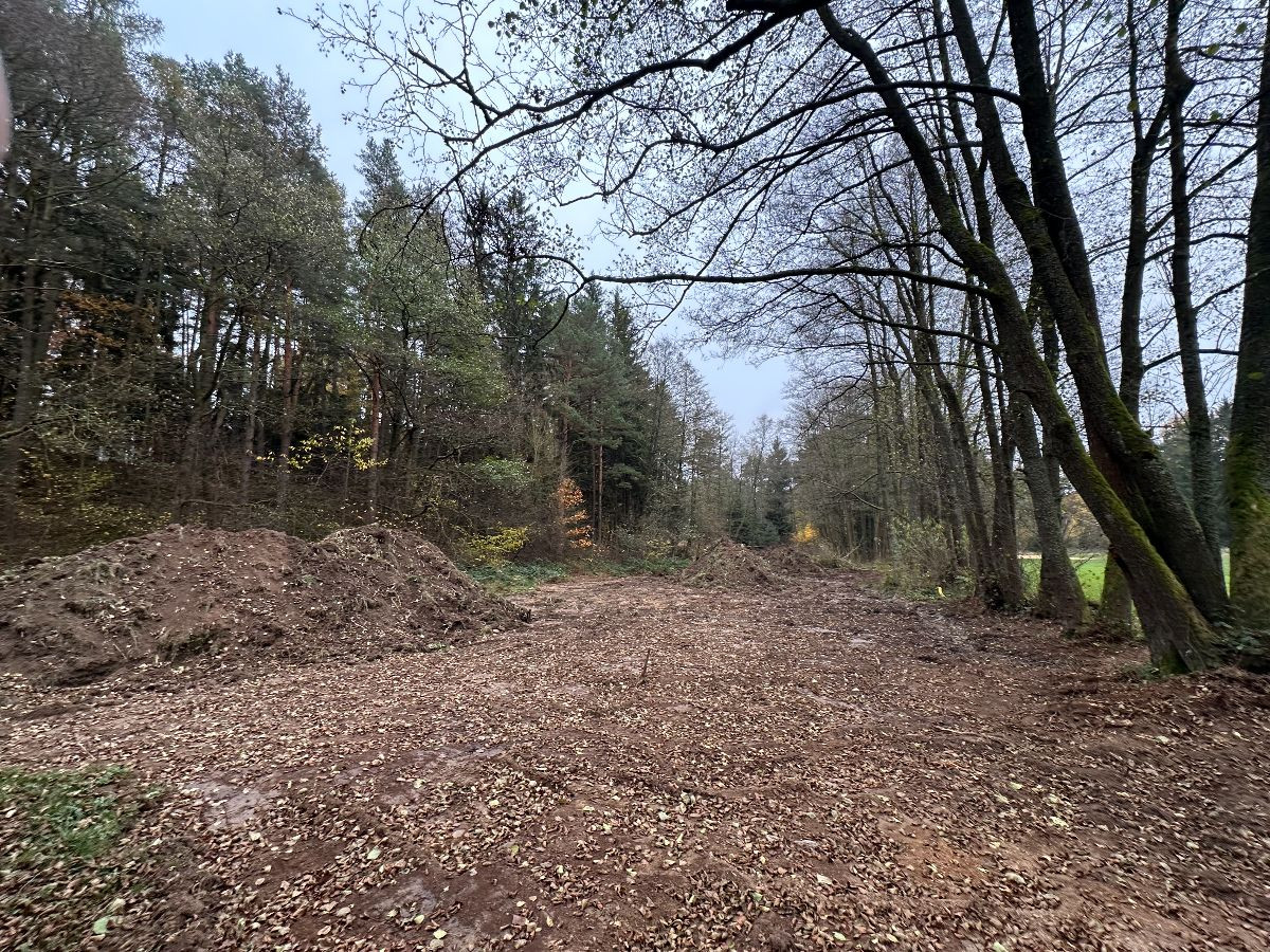 course image